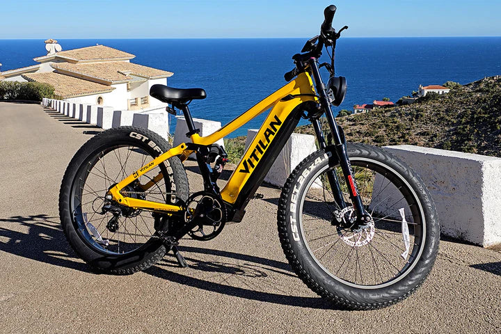 Horské elektrické kolo Vitilan T7